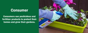 Slide titled "Consumer" with a photo of a person using a spray bottle on their plant.